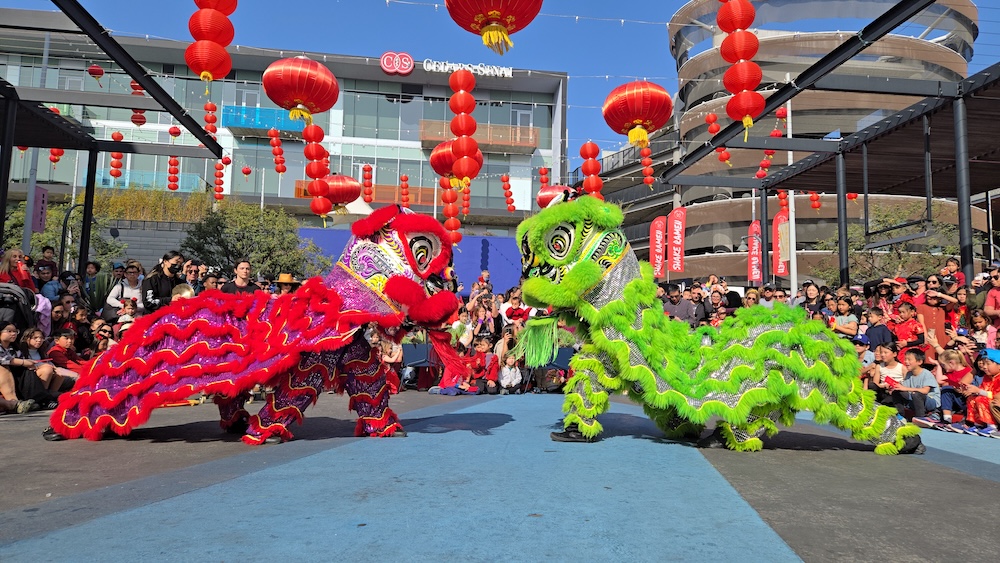 2026 Lunar New Year Community Celebration